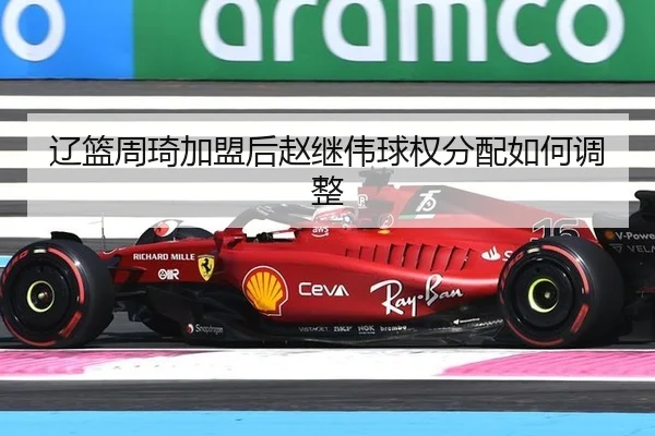 辽篮周琦加盟后赵继伟球权分配如何调整